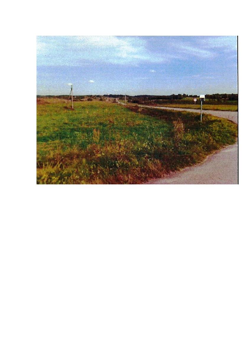 Žemės sklypas — Prienų r. sav.