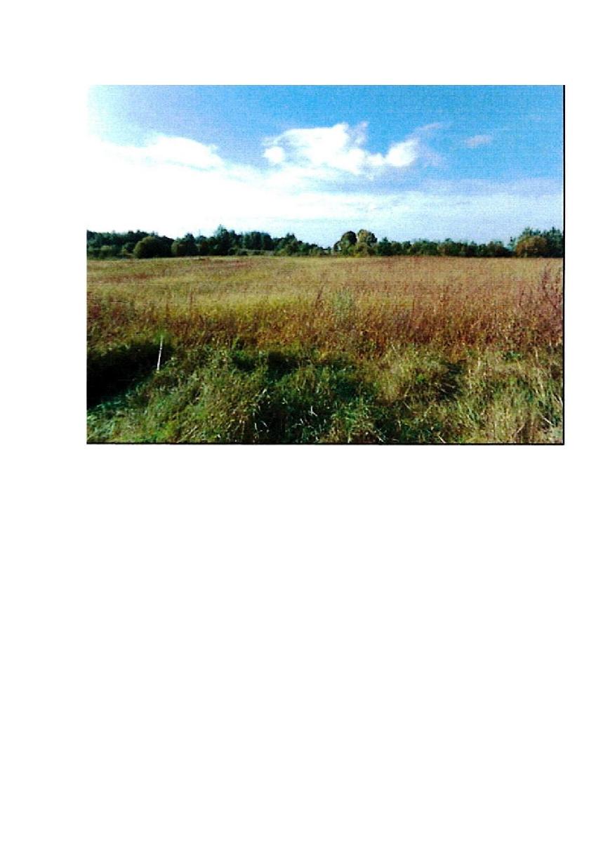 Žemės sklypas — Prienų r. sav.