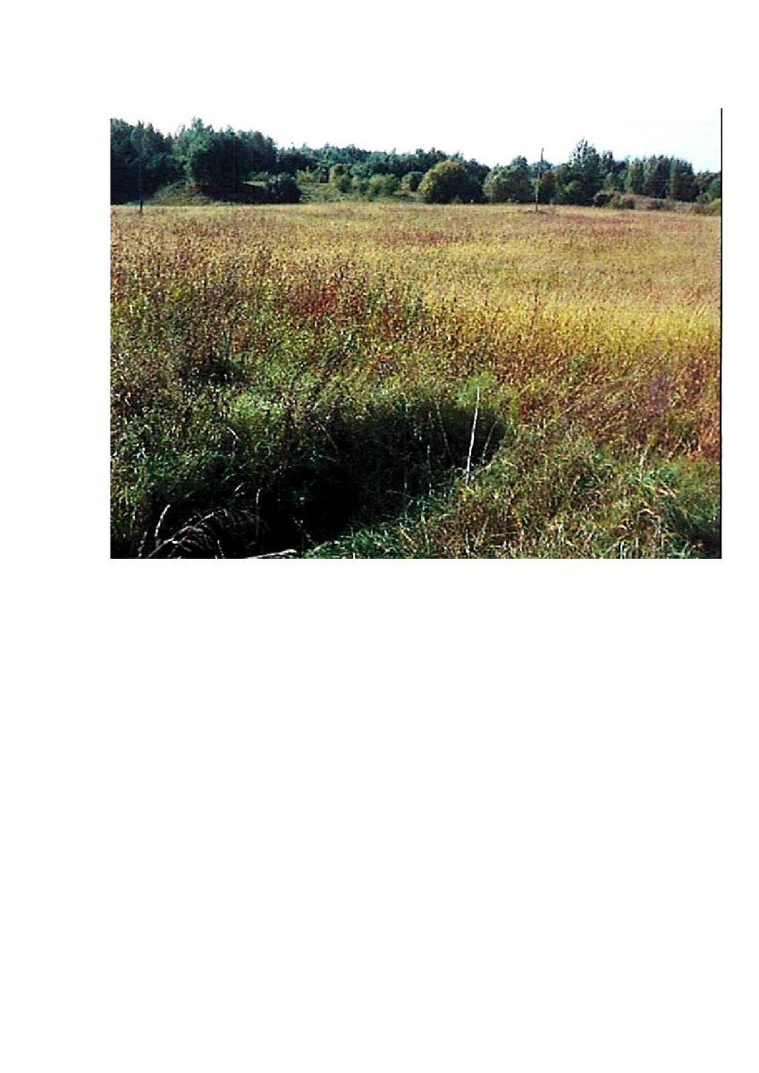 Žemės sklypas — Prienų r. sav.