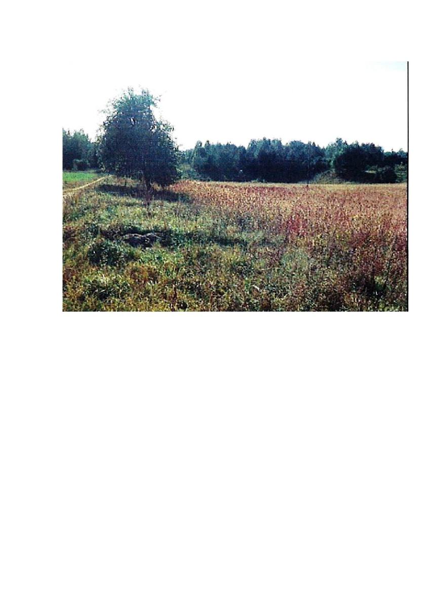 Žemės sklypas — Prienų r. sav.