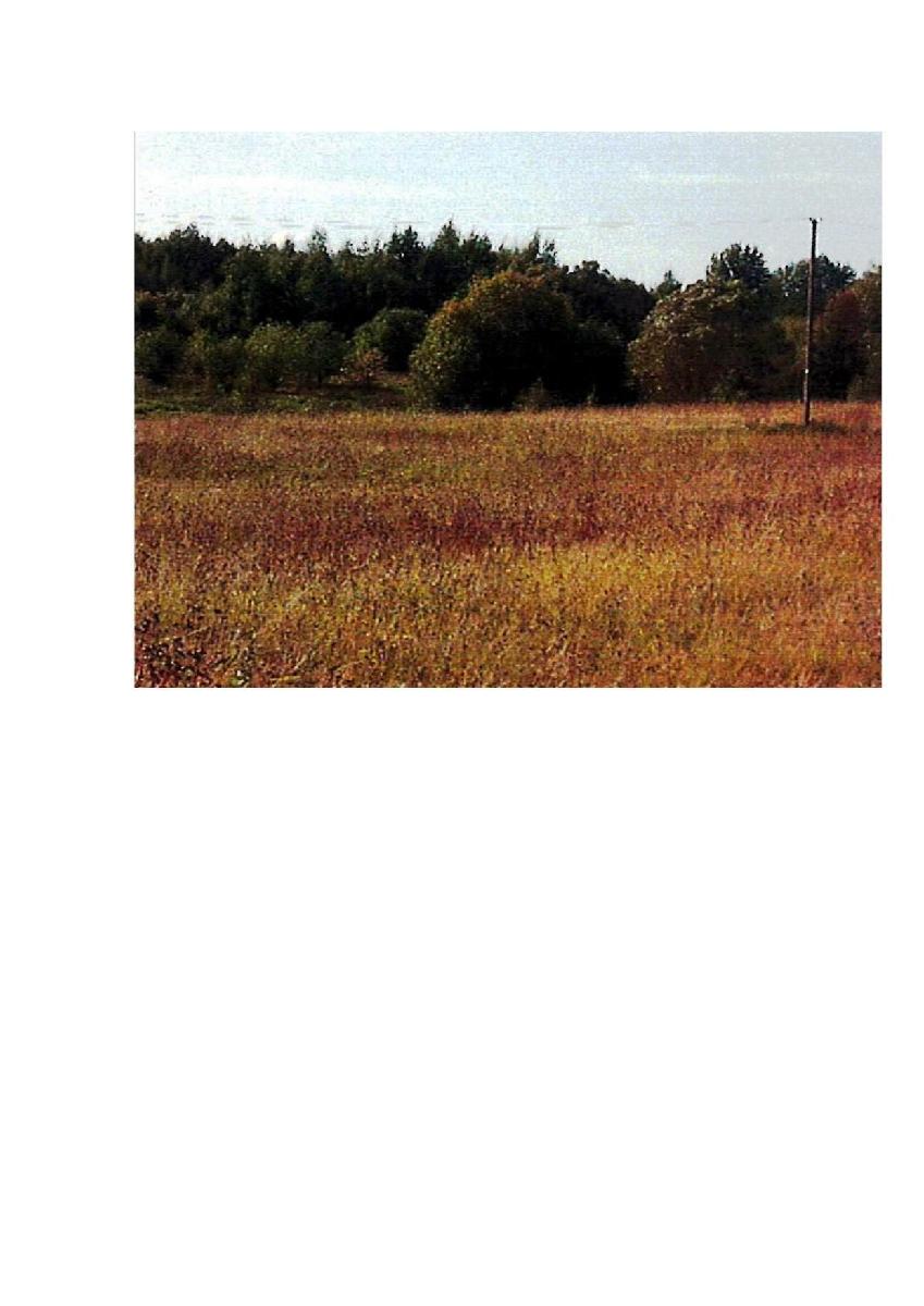 Žemės sklypas — Prienų r. sav.