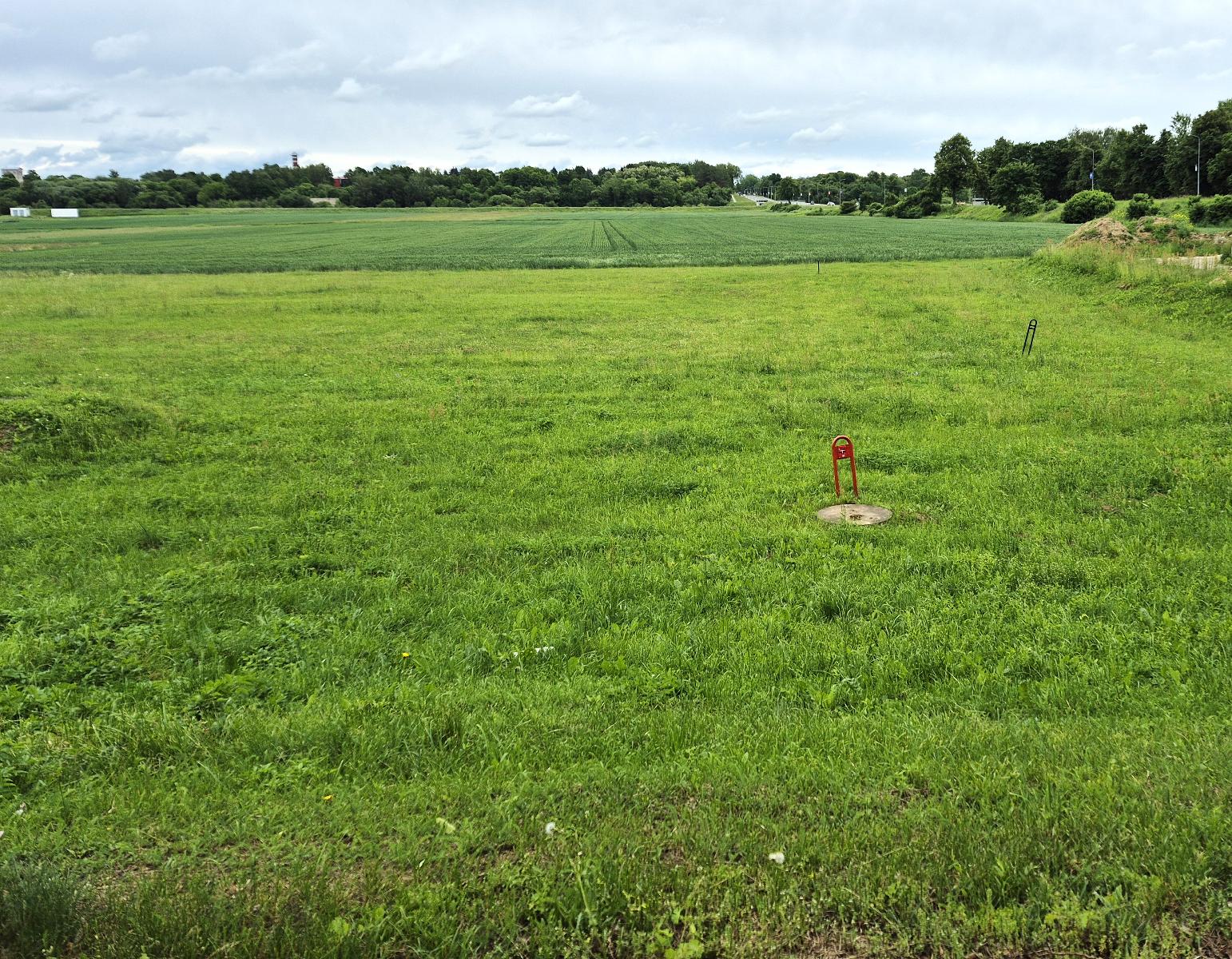 Žemės sklypas — Kėdainių r. sav.