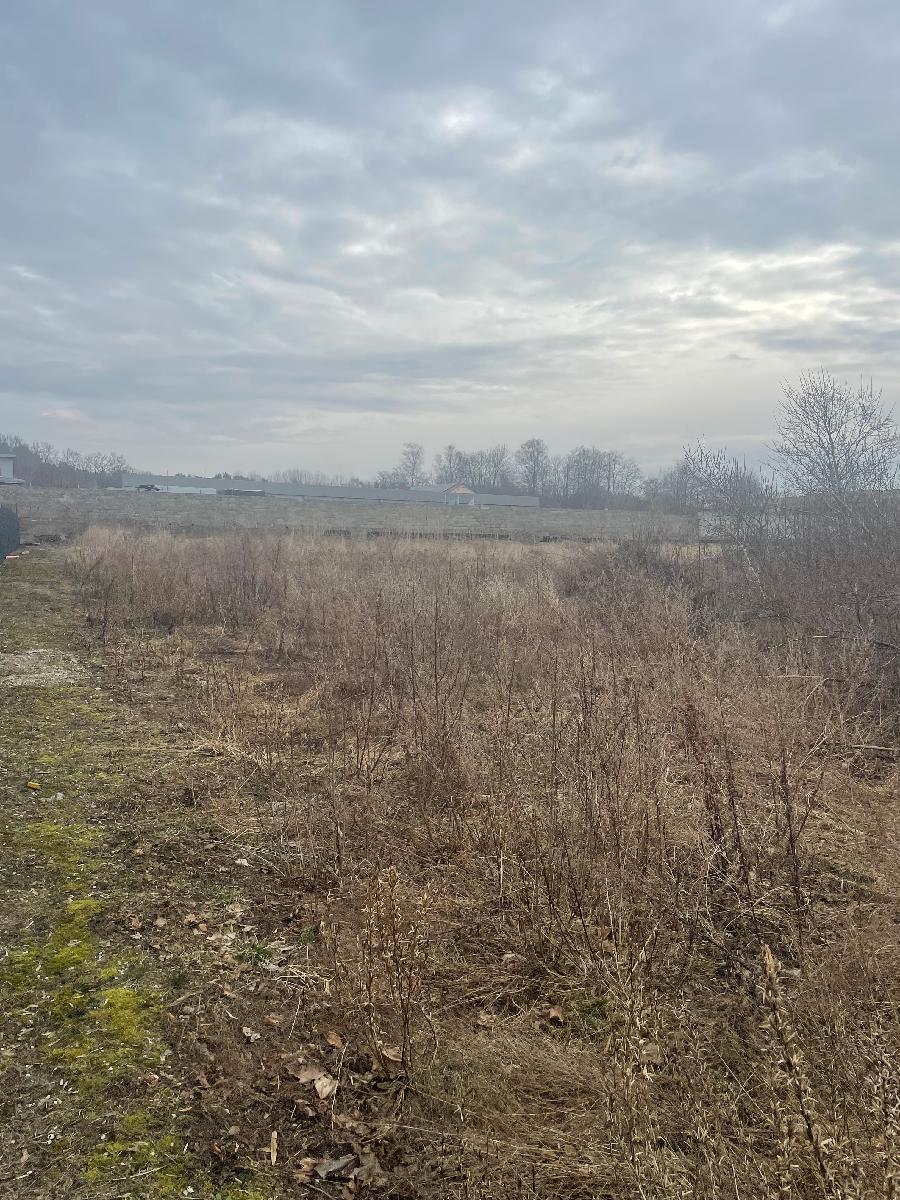 Žemės sklypas — Šilutės r. sav.
