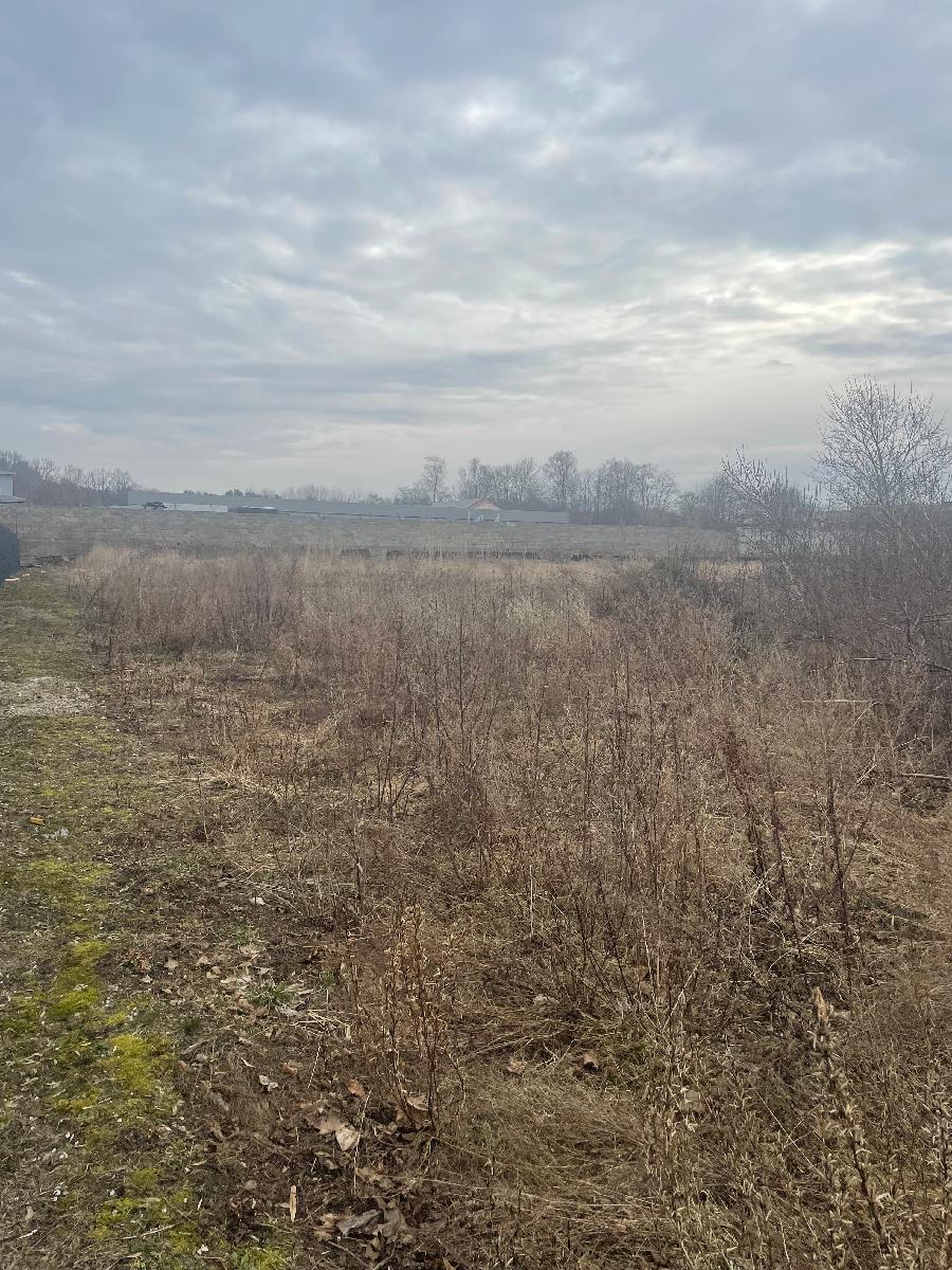 Žemės sklypas — Šilutės r. sav.