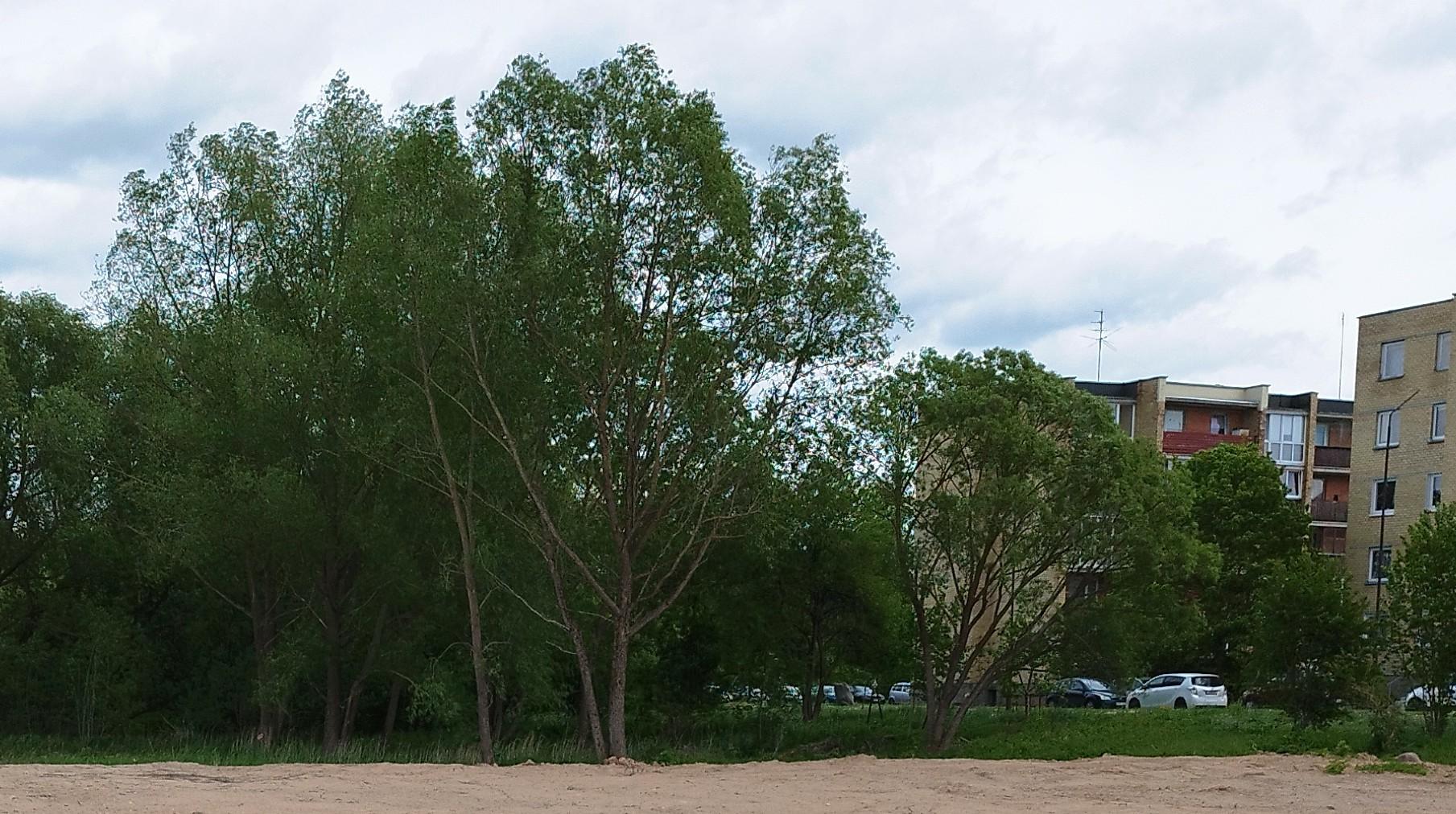 Žemės sklypas — Radviliškio r. sav.