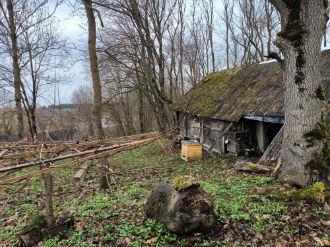 Butas — Kėdainių r. sav.