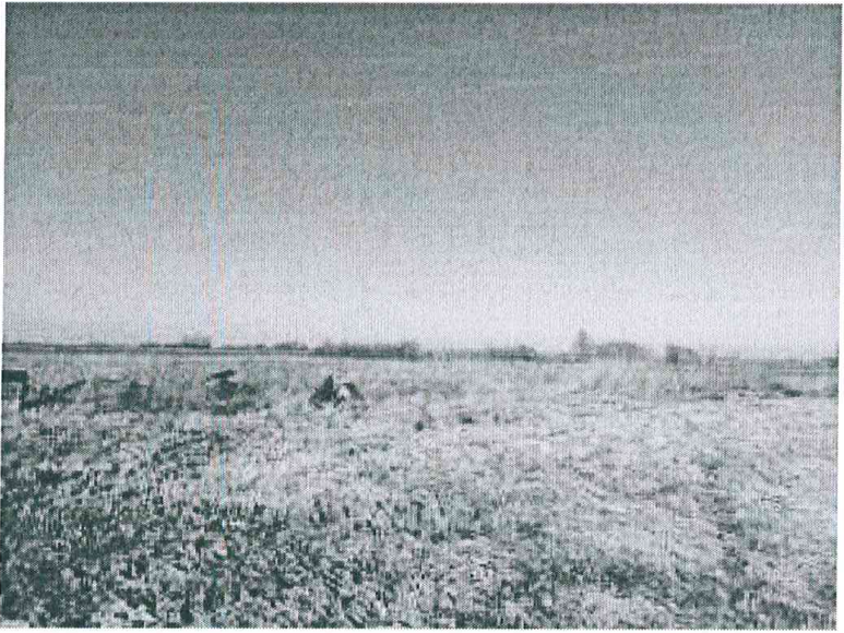 Žemės sklypas — Marijampolės sav.