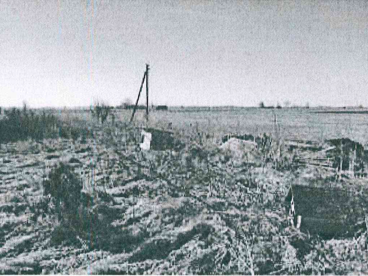 Žemės sklypas — Marijampolės sav.
