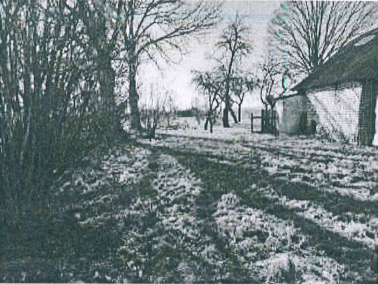 Žemės sklypas — Marijampolės sav.