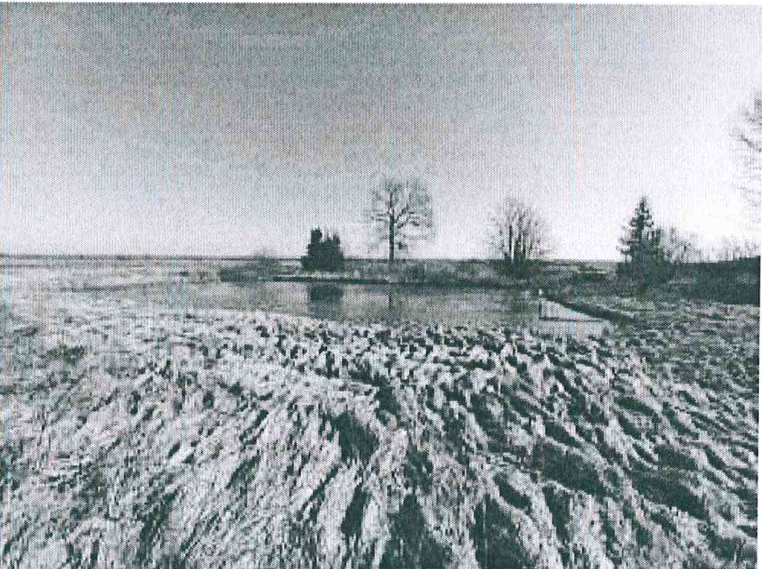 Žemės sklypas — Marijampolės sav.