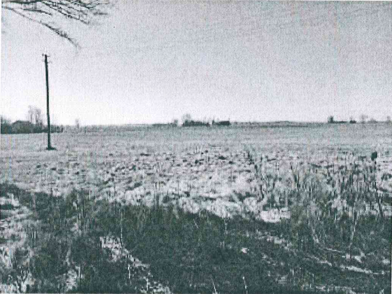 Žemės sklypas — Marijampolės sav.