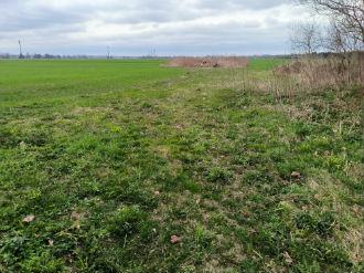 Tvartas — Kėdainių r. sav.