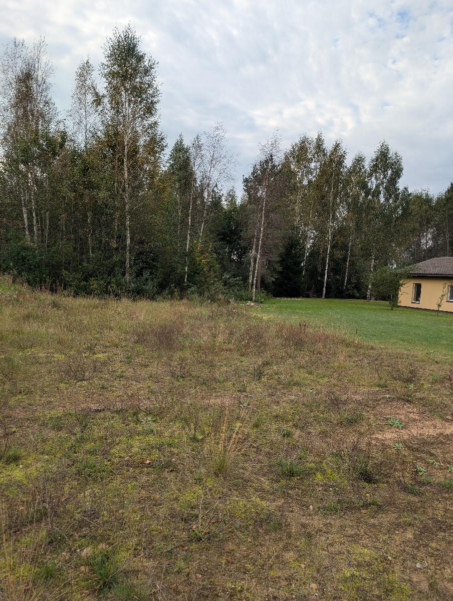 Žemės sklypas — Plungės r. sav.