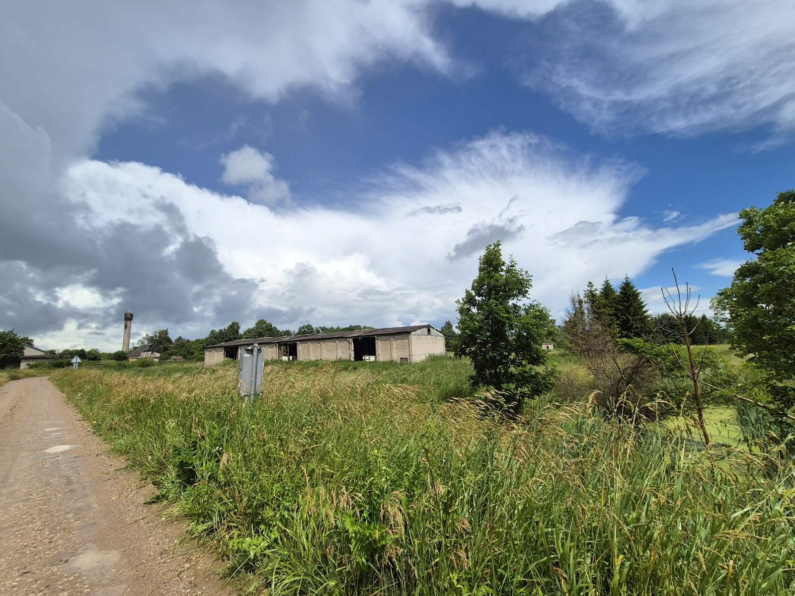 Daržinė — Telšių r. sav.