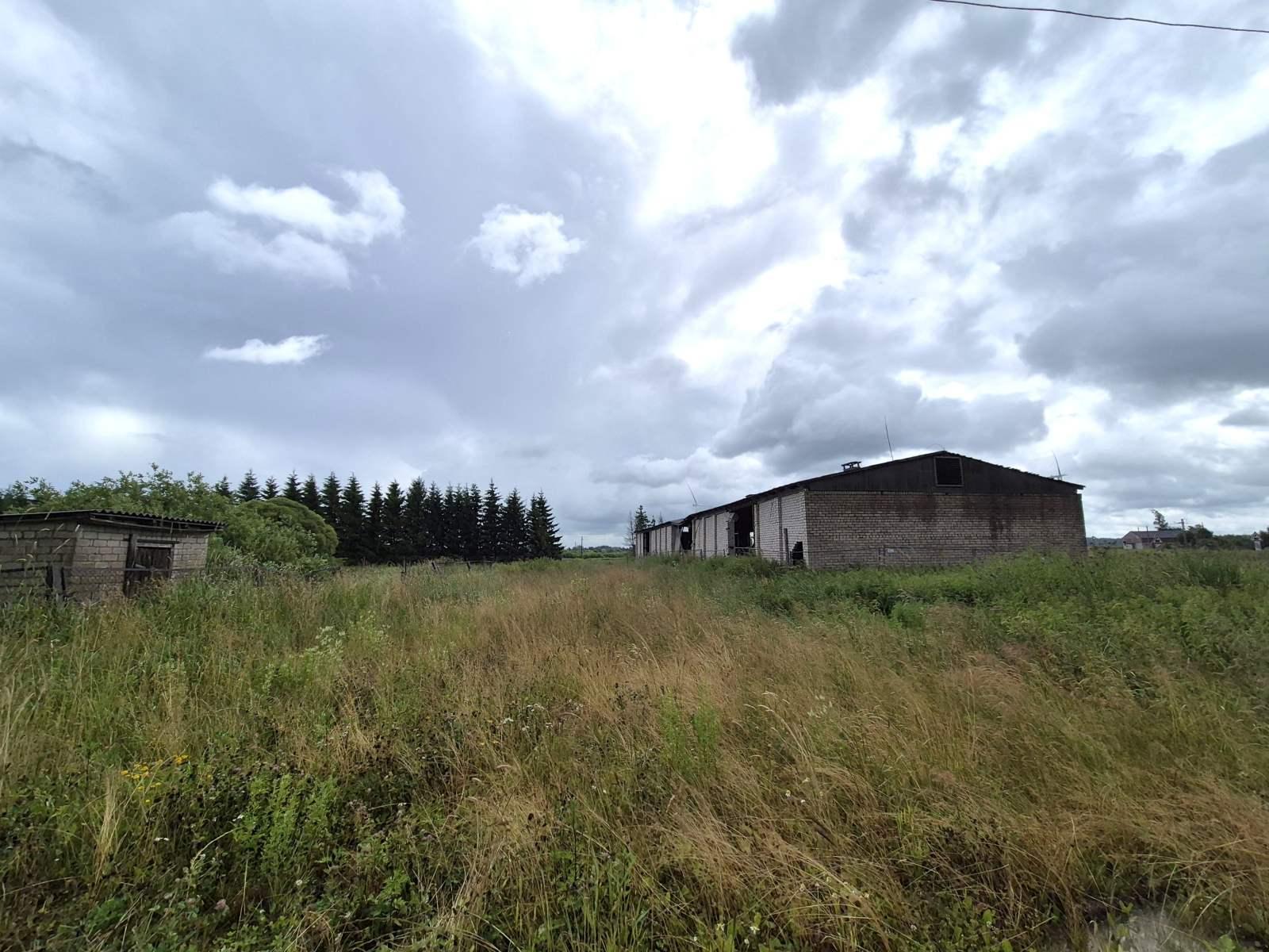 Daržinė — Telšių r. sav.