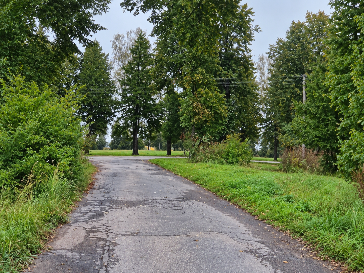 Krosnos gatvės privažiavimas prie Krosnos g. 10 — Kalvarijos sav.