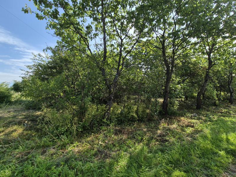 Gyvenamas namas — Klaipėdos r. sav.
