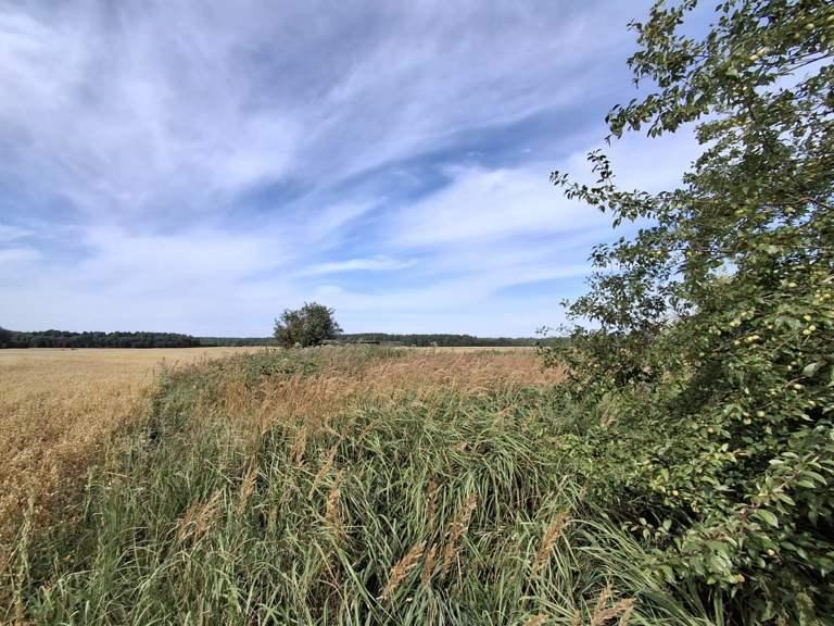 Gyvenamasis namas — Raseinių r. sav.