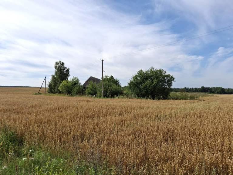 Gyvenamasis namas — Raseinių r. sav.